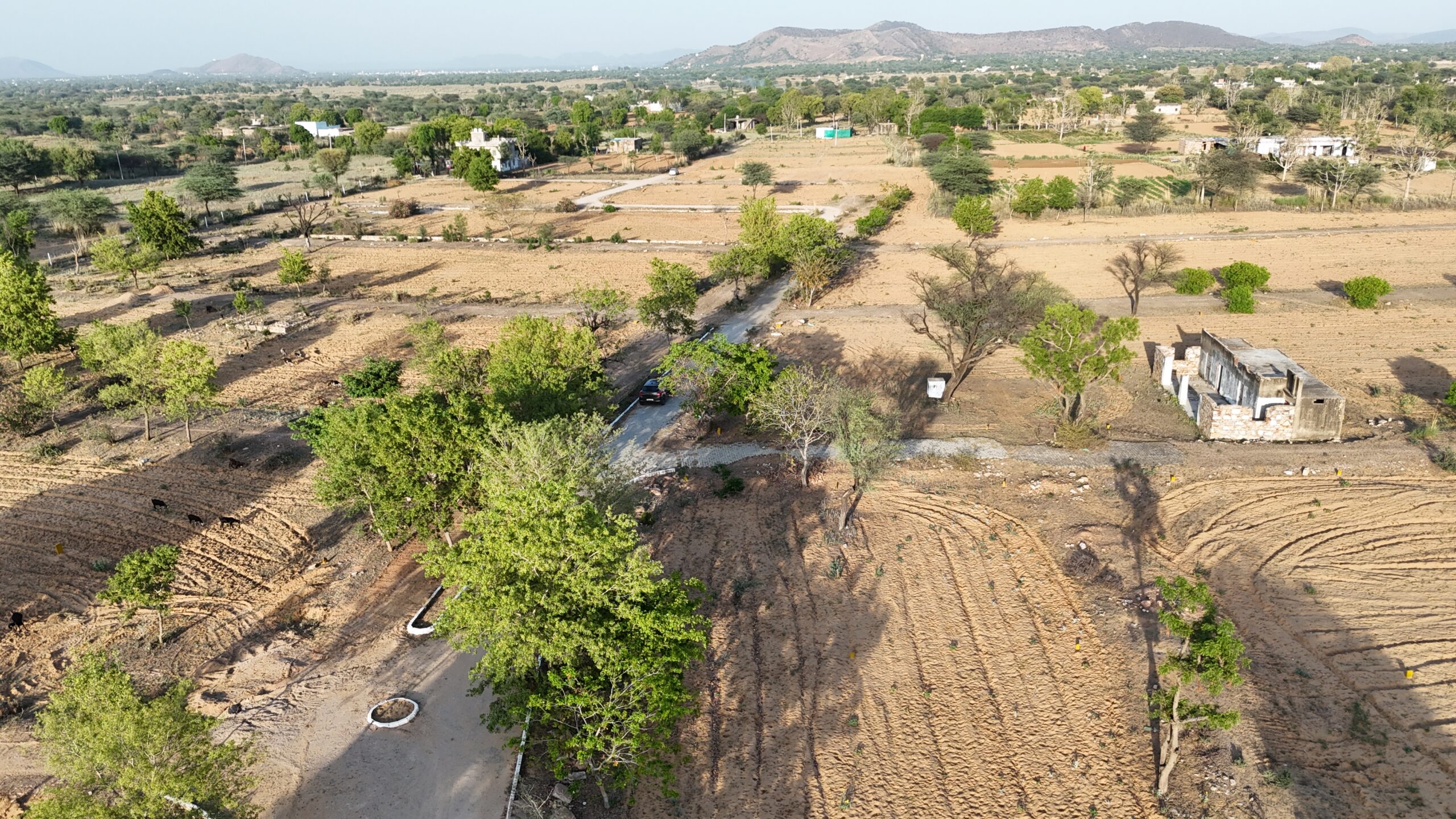 Land Development